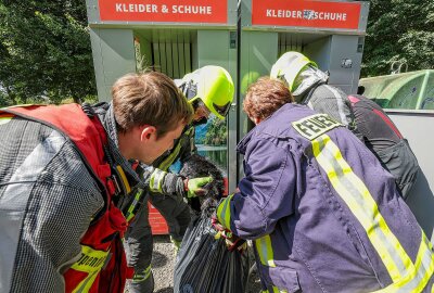 Rettungsaktion: Anwohner hören Miauen aus Kleidercontainer - In Glauchau kam es zu einer Rettungsaktion einer Katze. Foto: Andreas Kretschel