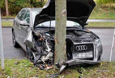 Rettungseinsatz in Chemnitz: Audi streift LKW und kracht gegen Baum - Der Audifahrer befand sich offenbar im toten Winkel des LKW. Foto: ChemPic