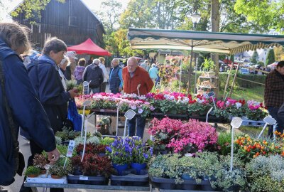 Reuther Herbstmarkt wird von Besuchern gestürmt - Der traditionelle Herbstmarkt in Reuth zieht Besucher mit bunten Ständen und herbstlichen Köstlichkeiten an. Foto: Simone Zeh