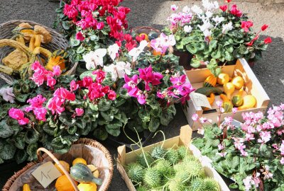 Reuther Herbstmarkt wird von Besuchern gestürmt - Von Handwerkskunst bis zu regionalen Lebensmitteln: der Herbstmarkt bietet eine breite Palette an Produkten. Foto: Simone Zeh