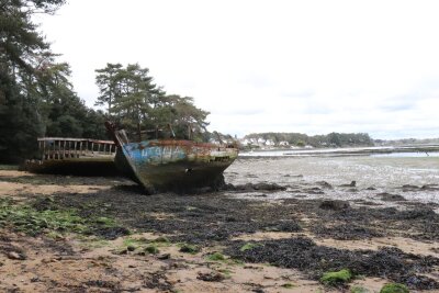 Robinson-Gefühle in Frankreichs Schärengarten - Schiffswrack auf Berder: Auf dem Eiland im Golf von Morbihan ist man in der Nebensaison auch mal alleine unterwegs.