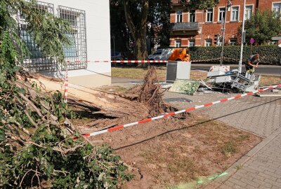 Rote Ampel missachtet: LKW verursacht Stromausfall und verletzt ein Kind - Am Mittwochnachmittag kam es in Dresden zu einem Unfall eines LKW, der einen erheblichen Schaden angerichtet hat. Foto: Roland Halkasch