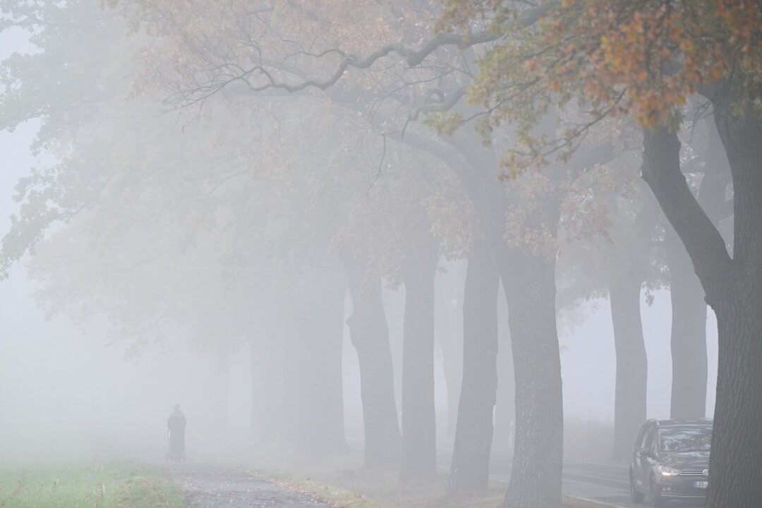 Ruhiges und graues Herbstwetter am Wochenende - Das Wetter bleibt am Wochenende oft grau. (Archivbild) 