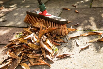 Rutschiges Laub: Mieter und Eigentümer in der Pflicht - Weg damit: Eigentümer und manchmal auch Mieter sind in der Pflicht, die Gehwege vom Herbstlaub zu befreien.