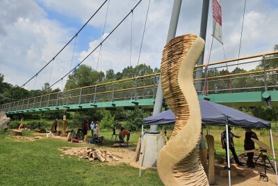 Sägenscharfe Kunst: Holzbildhauer formen Skulpturen im Chemnitztal - Vom 17. bis zum 29. Juni sind sieben Holzbildhauer am Auerswalder Mühlenkeller im Chemnitztal aktiv, um mit ihren Motor- und elektrischen Kettensägen neue Kunstwerke zu erschaffen.