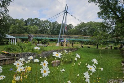 Sägenscharfe Kunst: Holzbildhauer formen Skulpturen im Chemnitztal - Vom 17. bis zum 29. Juni sind sieben Holzbildhauer am Auerswalder Mühlenkeller im Chemnitztal aktiv, um mit ihren Motor- und elektrischen Kettensägen neue Kunstwerke zu erschaffen.