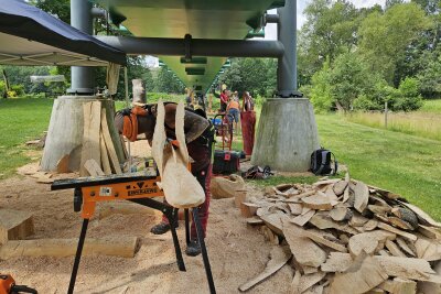 Sägenscharfe Kunst: Holzbildhauer formen Skulpturen im Chemnitztal - Am 30. Juni findet der Aktionstag "Unten am Fluss" statt, der die Versteigerung der entstandenen Kunstwerke sowie ein vielfältiges Mitmach- und Musikprogramm umfasst.