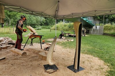 Sägenscharfe Kunst: Holzbildhauer formen Skulpturen im Chemnitztal - Vom 17. bis zum 29. Juni sind sieben Holzbildhauer am Auerswalder Mühlenkeller im Chemnitztal aktiv, um mit ihren Motor- und elektrischen Kettensägen neue Kunstwerke zu erschaffen.