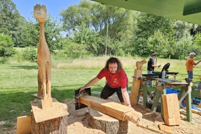 Sägenscharfe Kunst: Holzbildhauer formen Skulpturen im Chemnitztal - Am 30. Juni findet der Aktionstag "Unten am Fluss" statt, der die Versteigerung der entstandenen Kunstwerke sowie ein vielfältiges Mitmach- und Musikprogramm umfasst.