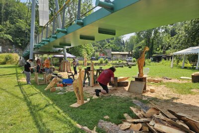 Sägenscharfe Kunst: Holzbildhauer formen Skulpturen im Chemnitztal -  Besucher haben die Gelegenheit, hautnah dabei zu sein, wenn beeindruckende Skulpturen entstehen.