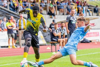 Schade: VFC Plauen verspielt 2:0-Führung gegen Berlin - Hier gibt's Bildimpressionen vom Spiel zwischen Plauen (gelb-schwarz) und Berlin (blau). Fotos: Oliver orgs / Pressebüro Repert