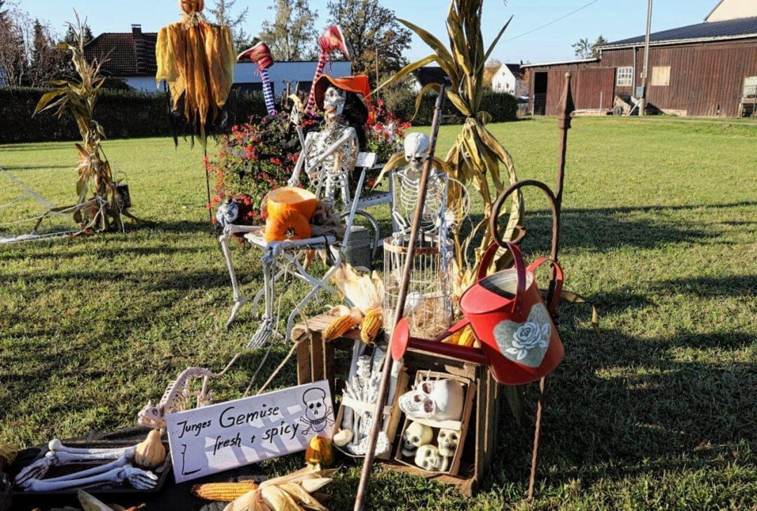 Schaurige Stimmung: Rossauerin verwandelt ihr Zuhause in ein Halloween-Märchen - Schaurige Gestalten stehen auf der Wiese an der Straße in Rossau.Foto: Andrea Funke