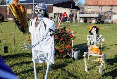 Schaurige Stimmung: Rossauerin verwandelt ihr Zuhause in ein Halloween-Märchen - Wenn Skelette und eine Hexe ihr Unwesen treiben in Rossau. Foto: Andrea Funke