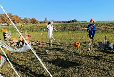 Schaurige Stimmung: Rossauerin verwandelt ihr Zuhause in ein Halloween-Märchen - Ihre Enkel sponsorten ihre Fußballtrikots. Foto: Andrea Funke