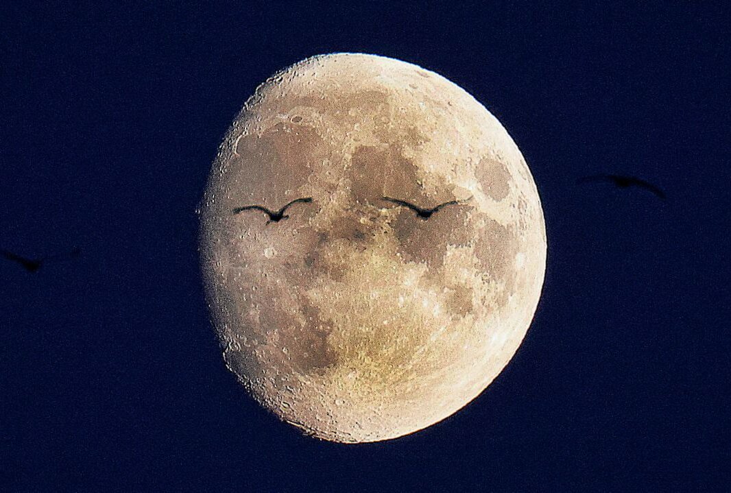 Schauspiel am Nachthimmel: Supermond und Mini-Mondfinsternis in Sachsen - Diese Mondfinsternis ist allerdings nur schwer zu erkennen. Foto: Harry Härtel