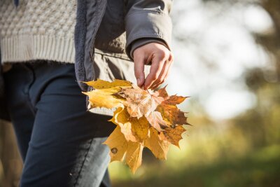 Schnief! 5 Tipps, die uns durch die Erkältungszeit helfen - Gesunde Alltagsroutinen: Regelmäßige Bewegung an der frischen Luft hilft, das Immunsystem zu unterstützen.