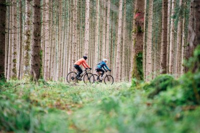 Schuften und Schottern: Workation mit dem Gravelbike - Erst die Tour, dann an den Schreibtisch: Das Konzept der Workation vereint Urlaub und Arbeit.