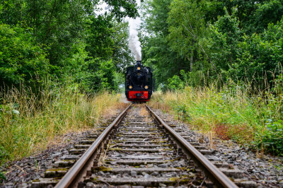 Schulanfang: Zuckertütenexpress rollt Ende Juli durchs Schweizerthal - Von 10 bis 18 Uhr fährt der Chemnitztalexpress halbstündlich durch das malerische Schweizerthal und bringt ABC-Schützen und Ferienrückkehrer zur Ernte an den Zuckertütenbaum.