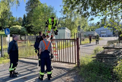 Schwarzenberg: Katze von Feuerwehr gerettet - Am Montagabend haben zwei zufällig vorbeilaufende Kinder oberhalb an der Rollerbahn auf einem Gelände des städtischen Betriebshof in Schwarzenberg eine schreiende Katze gehört. Foto: Daniel Unger