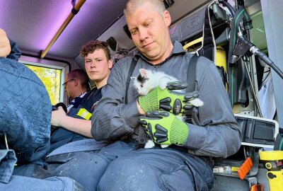 Schwarzenberg: Katze von Feuerwehr gerettet - Am Montagabend haben zwei zufällig vorbeilaufende Kinder oberhalb an der Rollerbahn auf einem Gelände des städtischen Betriebshof in Schwarzenberg eine schreiende Katze gehört. Foto: Daniel Unger