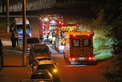 Schwerer Bahnunfall: Frau beim Überqueren der Gleise von Güterzug erfasst - Eine Person wurde von einem Güterzug erfasst. Foto: Roland Halkasch