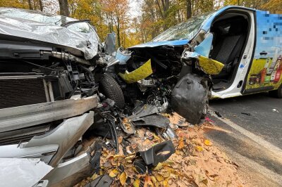 Schwerer Unfall auf S194: Mehrere Personen bei Kollision verletzt - Es wurden mehrere Personen verletzt. Foto: Roland Halkasch