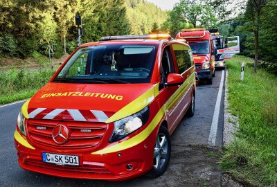 Schwerer Unfall bei Erlabrunn: PKW kollidiert mit Bäumen und landet im Schwarzwasser - Eine Frau musste aus ihrem PKW befreit werden. Foto: Niko Mutschmann