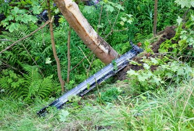 Schwerer Unfall bei Erlabrunn: PKW kollidiert mit Bäumen und landet im Schwarzwasser - Eine Frau musste aus ihrem PKW befreit werden. Foto: Niko Mutschmann