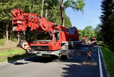 Schwerer Unfall bei Erlabrunn: PKW kollidiert mit Bäumen und landet im Schwarzwasser - Eine Frau musste aus ihrem PKW befreit werden. Foto: Niko Mutschmann