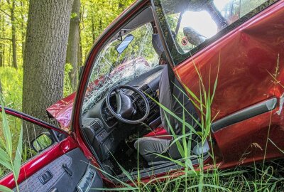 Schwerer Verkehrsunfall: Fahrer kommt mit 2,3 Promille von Fahrbahn ab - In der Nacht zu Samstag ist gegen 23 Uhr ein 38-Jähriger mit einem VW Passat von der Basteistraße abgekommen und wurde dabei schwer verletzt. Foto: pixabay/Rico_Loeb