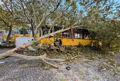 Schwerer Verkehrsunfall in der Dresdner Neustadt mit 30 Verletzten - Die Feuerwehr ist vor Ort im Einsatz. Foto: Roland Halkasch