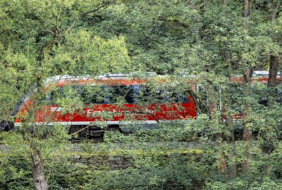 Schwerer Zugunfall im Erzgebirge: Bahn kollidiert mit Person - Ein Zugunfall mit der Erzgebirgsbahn ereignete sich am Freitag gegen 13.30 Uhr auf der Strecke Chemnitz - Cranzahl. Foto: Bernd März