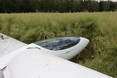 Am Sonntagnachmittag musste ein Segelflugzeug im Rapsfeld bei Waldkirchen notlanden. Foto: Harry Härtel