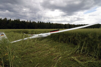 Am Sonntagnachmittag musste ein Segelflugzeug im Rapsfeld bei Waldkirchen notlanden. Foto: Harry Härtel