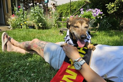 Silkes Tattoo-Welt: Familie, Fußball und ein treuer Hund im Trikot - Gemeinsam genießen sie den Sommer.