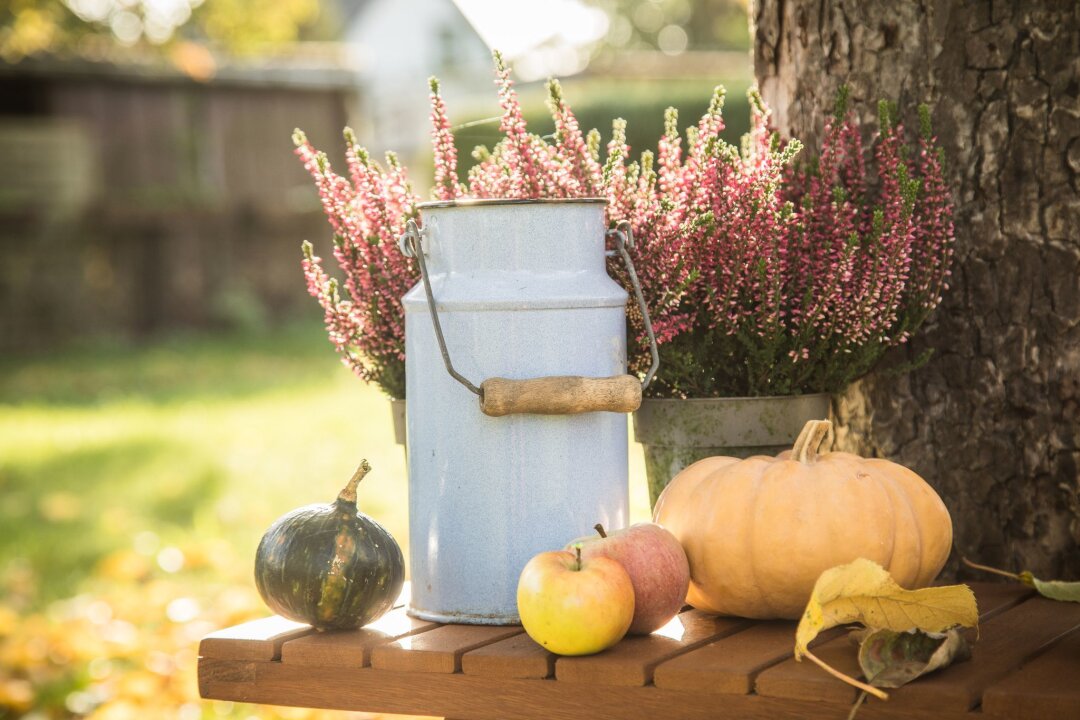 So einfach gelingt eine Herbst-Deko mit Kürbissen - Im Freien hält sich die Kürbis-Deko länger.