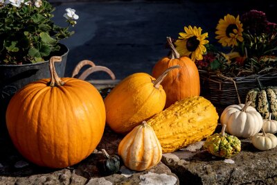 So einfach gelingt eine Herbst-Deko mit Kürbissen - Bunter Mix: Unterschiedliche Kürbissorten lassen sich gut zusammen arrangieren.