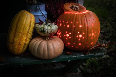 So einfach gelingt eine Herbst-Deko mit Kürbissen - Blumenornamente kann man entweder in den Kürbis schnitzen oder mit dem einem Akkuschrauber kleine Löcher hineinbohren.