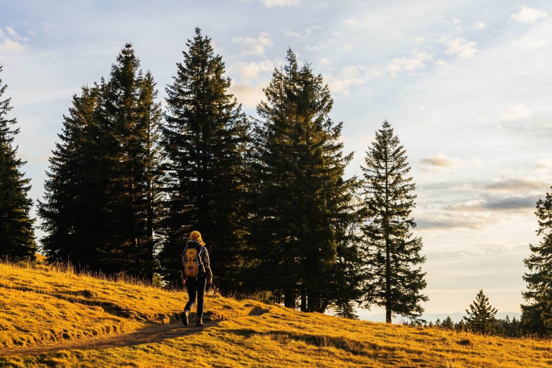 So erkennt man PFAS in Outdoor-Kleidung - Können in Outdoorjacken enthalten sein, sind aber nicht zwingend notwendig: PFAS, sogenannte Ewigkeitschemikalien, die sich in Organismen anreichern können.