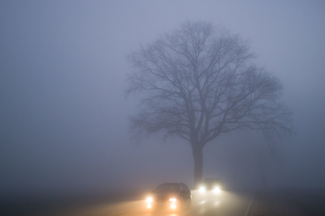 So fahren Sie sicherer bei Nebel - Bei Nebel sollte man das Tempo anpassen und immer das Abblendlicht einschalten, um sicher unterwegs zu sein.