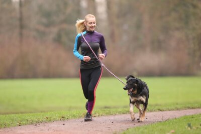 So gelingt Laufen mit Kindern und Hund - Gutes Zeichen: Der Hund läuft fröhlich voraus.