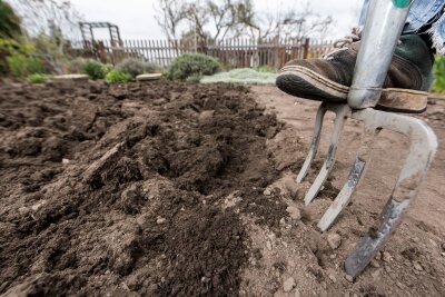 So starten Gärtner entspannt in den Frühling - Für eine gesunde Ernte: Der Gartenboden wird mit der Grabegabel schonend gelockert und belüftet.