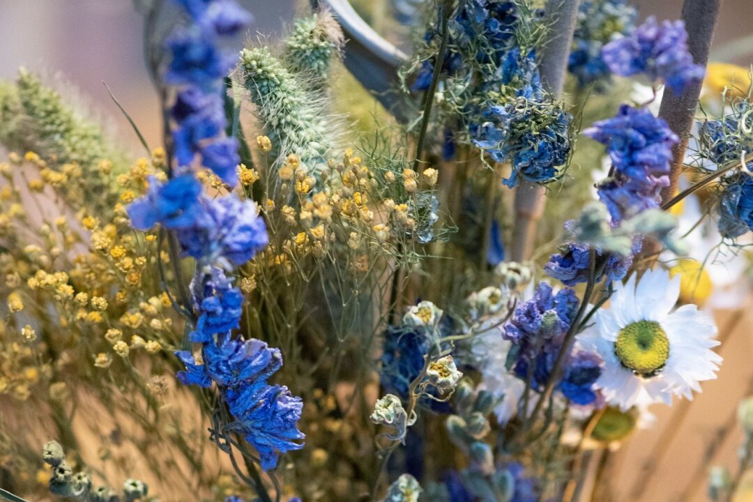 So werden Trockenblumen nicht zum Staubfänger - Ein Strauß getrockneter Wiesenblumen und -gräser erinnert an schöne Sommertage.