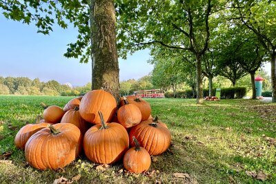 Sonnenlandpark feiert Reformationstag: Köstliches Kürbisbuffet und gruselfreie Zone für Kinder - Herbststimmung im Sonnenlandpark Lichtenau. Gruselfrei und kindgerecht.