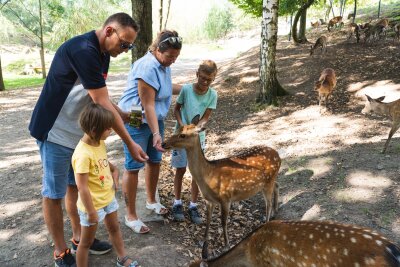 Sonnenlandpark Lichtenau wird volljährig: Naturnaher Familienpark feiert Parkfest - Das große Summer-Finals-Event im Sonnenlandpark verspricht einen ereignisreichen Tag, der den Parkgeburtstag mit sportlichen Aktivitäten, Naturerlebnissen und besonderen Highlights verbindet.