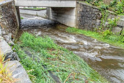 Steigende Pegelstände: Weitere Regenfälle im Erzgebirge erwartet - Durch den Dauerregen stieg der Fluss Zwönitz um etwa 15 Zentimeter an. Foto: Andre März