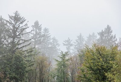 Steigende Pegelstände: Weitere Regenfälle im Erzgebirge erwartet - Begleitet wird der Regen von kühlen Temperaturen und Nebel. Foto: Andre März