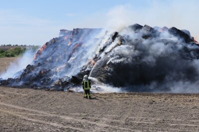 Strohfeim-Brand bei Großpösna: Wind erschwert Löscharbeiten - Mittwochmittag rückten gleich mehrere Feuerwehren zu einem Brand nach Seifertshain aus.