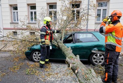 Sturm entwurzelt Baum: Audi auf Straße in Chemnitz geschrottet - Das schnelle Handeln der Rettungsdienste verhinderte weitere Schäden. Foto: Jan Härtel/ChemPic