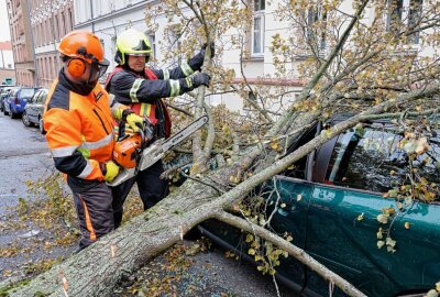 Sturm entwurzelt Baum: Audi auf Straße in Chemnitz geschrottet - Das schnelle Handeln der Rettungsdienste verhinderte weitere Schäden. Foto: Jan Härtel/ChemPic